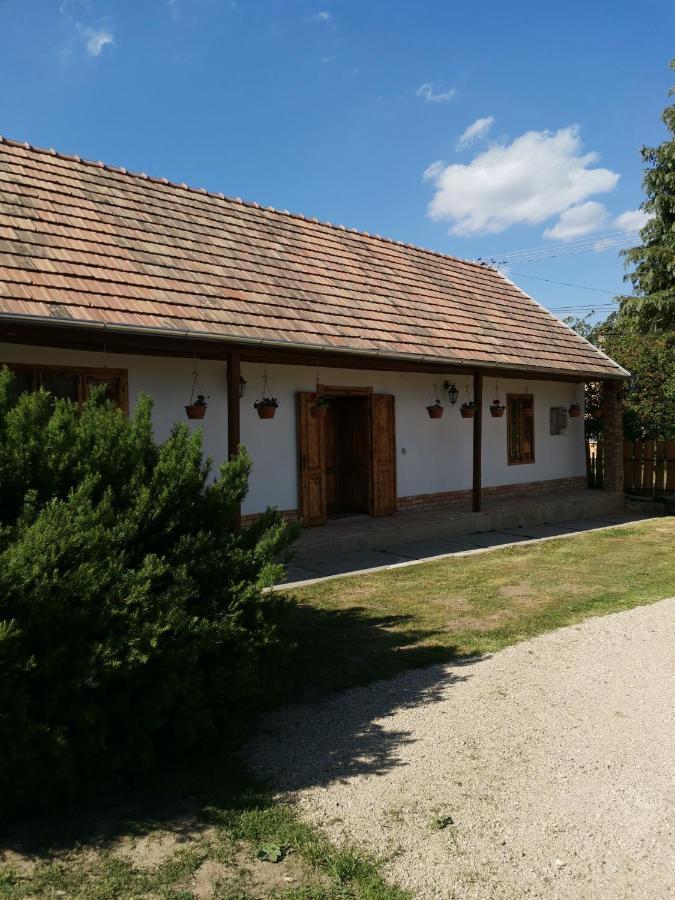 Apartament Vendeghaz *