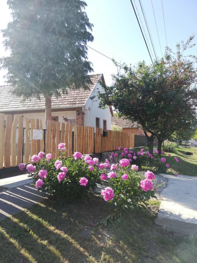 Apartament Vendeghaz